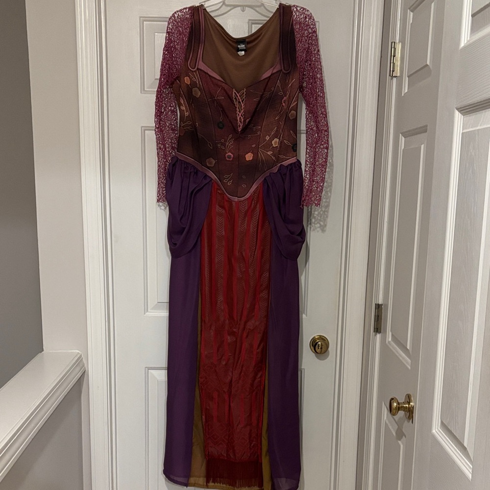 Hocus Pocus Witch Costume